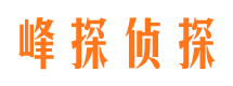 陵水侦探公司